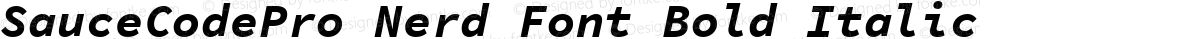 SauceCodePro Nerd Font Bold Italic