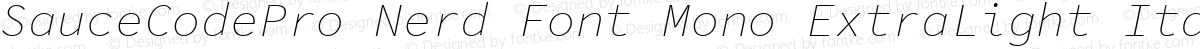 SauceCodePro Nerd Font Mono ExtraLight Italic