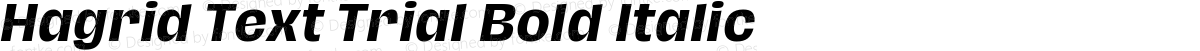 Hagrid Text Trial Bold Italic