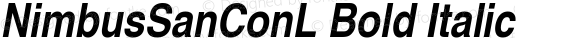 NimbusSanConL Bold Italic