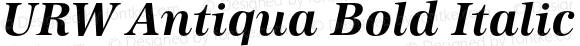 URW Antiqua Bold Italic