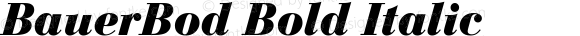 BauerBod Bold Italic