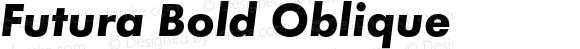 Futura Bold Oblique