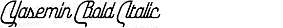 Yasemin Bold Italic