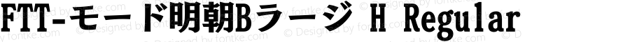 FTT-モード明朝Bラージ H Regular FTT 1.3