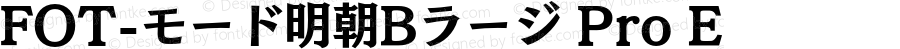 FOT-モード明朝Bラージ Pro E 