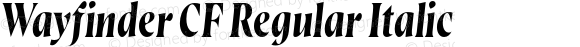 Wayfinder CF Regular Italic