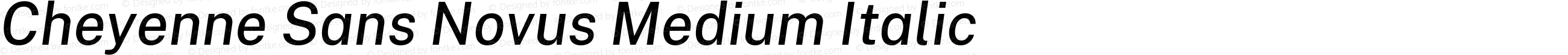 Cheyenne Sans Novus Medium Italic