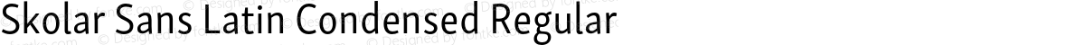 Skolar Sans Latin Condensed Regular