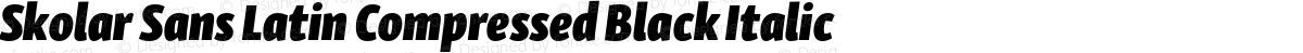 Skolar Sans Latin Compressed Black Italic