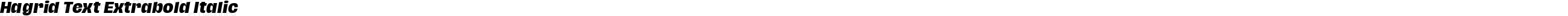 Hagrid Text Extrabold Italic