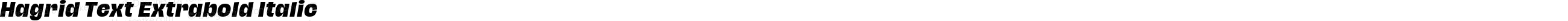 Hagrid Text Extrabold Italic
