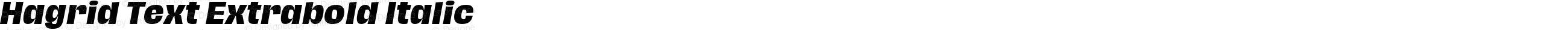 Hagrid Text Extrabold Italic