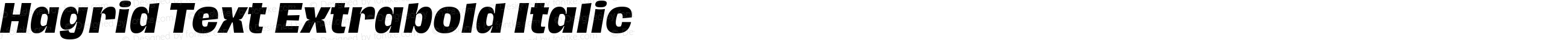 Hagrid Text Extrabold Italic