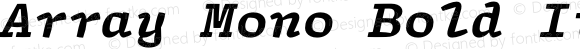 Array Mono Bold Italic