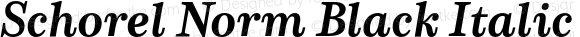 Schorel Norm Black Italic