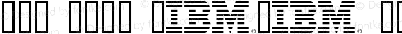 IBM 8bar Logo Regular