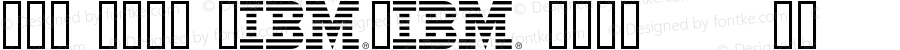 IBM 8bar Logo Regular