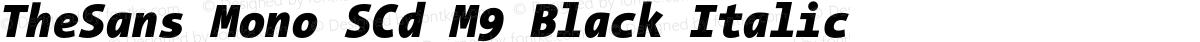 TheSans Mono SCd M9 Black Italic
