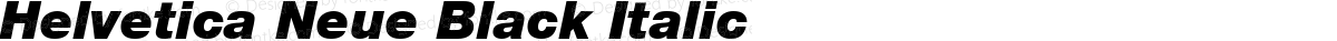Helvetica Neue Black Italic