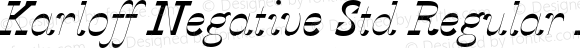 Karloff Negative Std Regular Italic