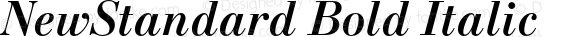 NewStandard Bold Italic