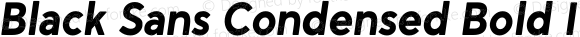Black Sans Condensed Bold Italic