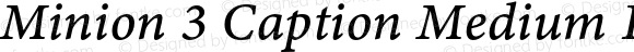 Minion 3 Caption Medium Italic