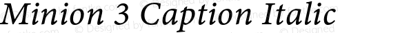 Minion 3 Caption Italic