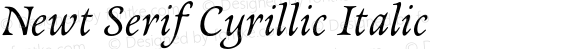 Newt Serif Cyrillic Italic