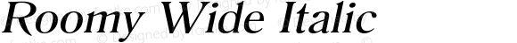 Roomy Wide Italic