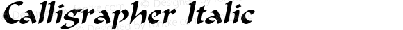 Calligrapher Italic