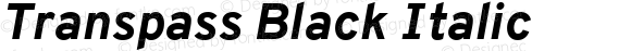 Transpass Black Italic