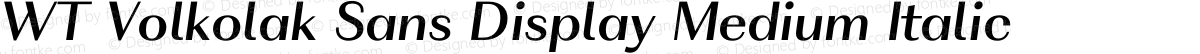 WT Volkolak Sans Display Medium Italic