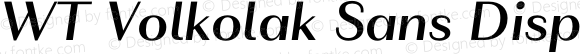 WT Volkolak Sans Display Medium Italic