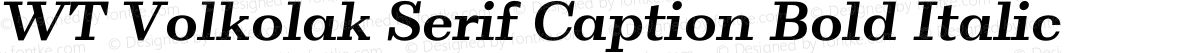 WT Volkolak Serif Caption Bold Italic