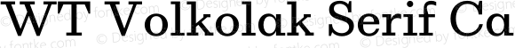 WT Volkolak Serif Caption Light