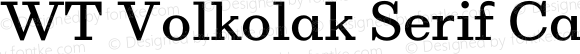 WT Volkolak Serif Caption Regular