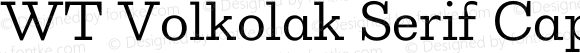 WT Volkolak Serif Caption Thin