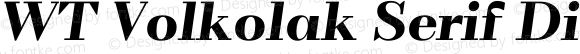 WT Volkolak Serif Display Black Italic