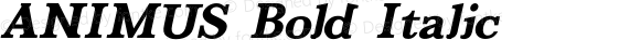 ANIMUS Bold Italic