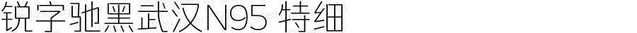 锐字驰黑武汉N95 特细