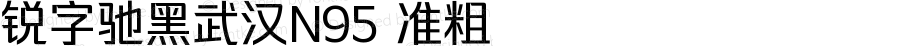 锐字驰黑武汉N95 准粗