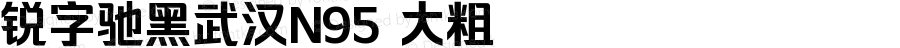 锐字驰黑武汉N95 大粗