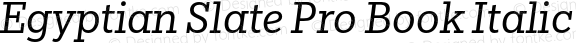 Egyptian Slate Pro Book Italic