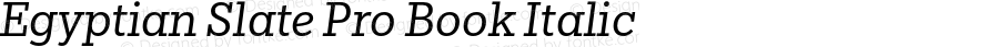 EgyptianSlatePro-BookItalic