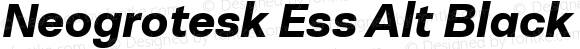 Neogrotesk Ess Alt Black It