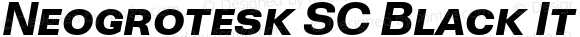 Neogrotesk SC Black It