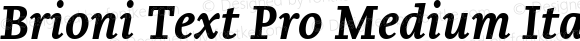 Brioni Text Pro Medium Italic