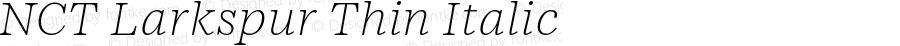 NCTLarkspur-ThinItalic